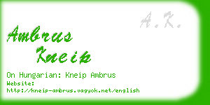 ambrus kneip business card
